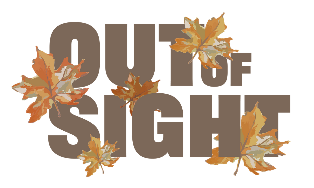 Out of Sight